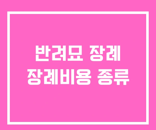 반려묘 장례 장례비용 종류