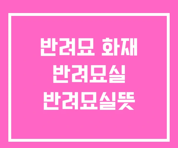 반려묘 화재 반려묘실 반려묘실뜻