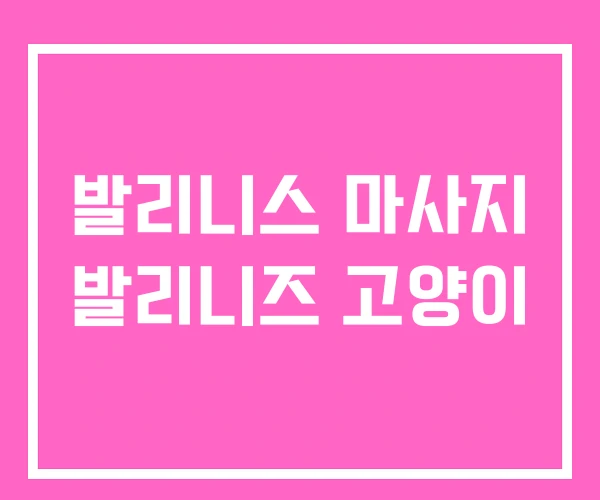 발리니스 마사지 발리니즈 고양이 발리니스 마사지 발리니즈 고양이
