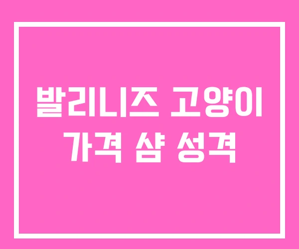 발리니즈 고양이 가격 샴 성격 발리니즈 고양이 가격 샴 성격