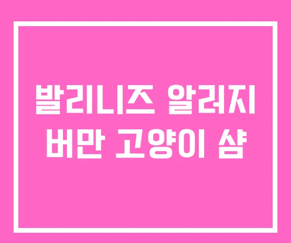 발리니즈 알러지 버만 고양이 샴