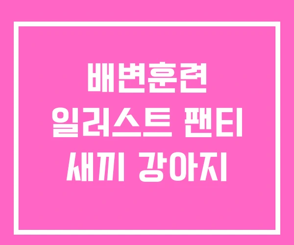 배변훈련 일러스트 팬티 새끼 강아지 배변훈련 일러스트 팬티 새끼 강아지