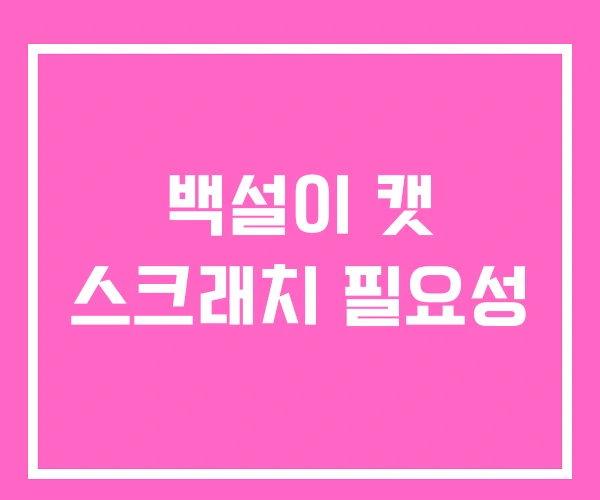백설이 캣 스크래치 필요성 백설이 캣 스크래치 필요성
