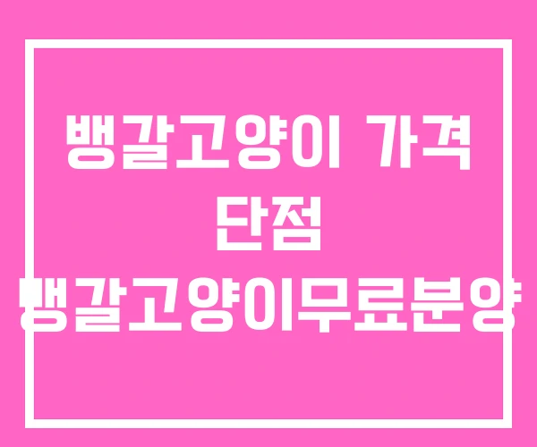 뱅갈고양이 가격 단점 뱅갈고양이무료분양
