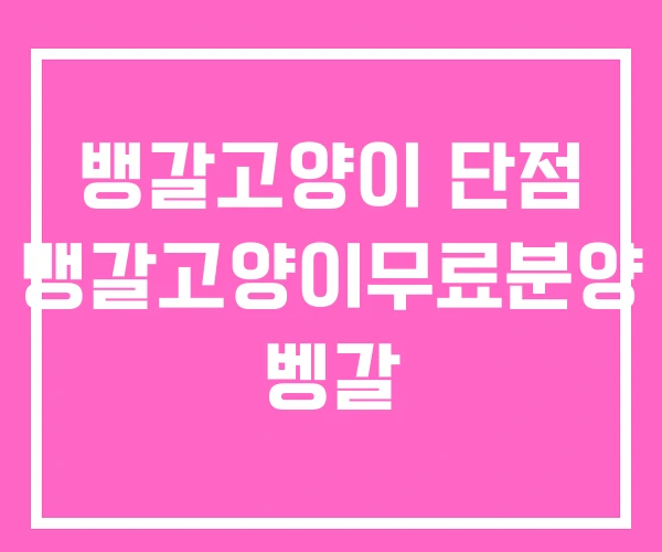 뱅갈고양이 단점 뱅갈고양이무료분양 벵갈 뱅갈고양이 단점 뱅갈고양이무료분양 벵갈