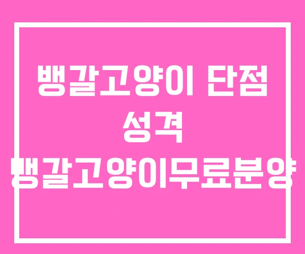 뱅갈고양이 단점 성격 뱅갈고양이무료분양 뱅갈고양이 단점 성격 뱅갈고양이무료분양