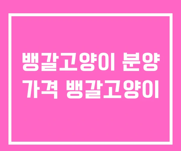 뱅갈고양이 분양 가격 뱅갈고양이 뱅갈고양이 분양 가격 뱅갈고양이