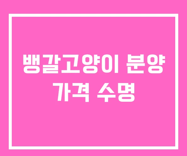 뱅갈고양이 분양 가격 수명 뱅갈고양이 분양 가격 수명