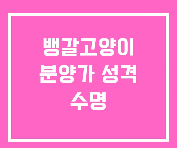 뱅갈고양이 분양가 성격 수명