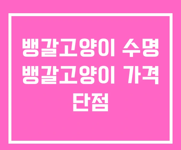 뱅갈고양이 수명 뱅갈고양이 가격 단점