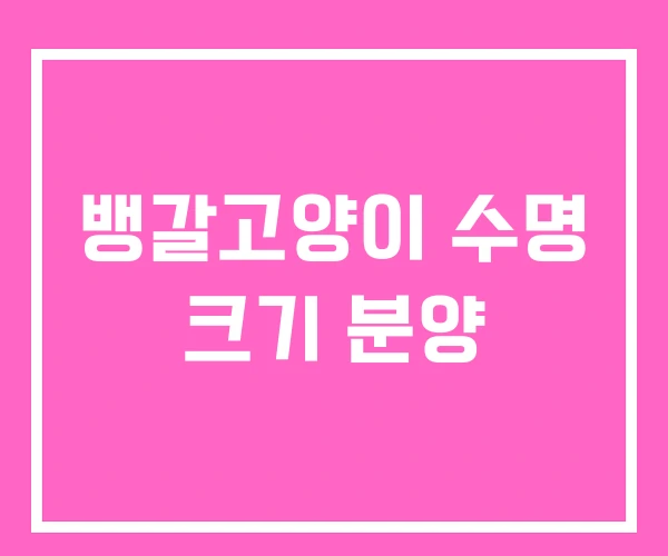 뱅갈고양이 수명 크기 분양