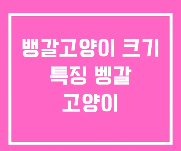 뱅갈고양이 크기 특징 벵갈 고양이