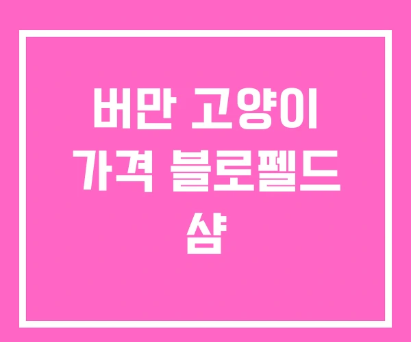 버만 고양이 가격 블로펠드 샴 버만 고양이 가격 블로펠드 샴