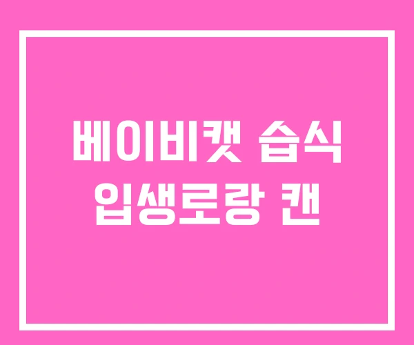 베이비캣 습식 입생로랑 캔 베이비캣 습식 입생로랑 캔