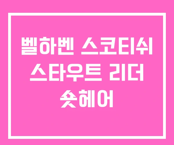 벨하벤 스코티쉬 스타우트 리더 숏헤어