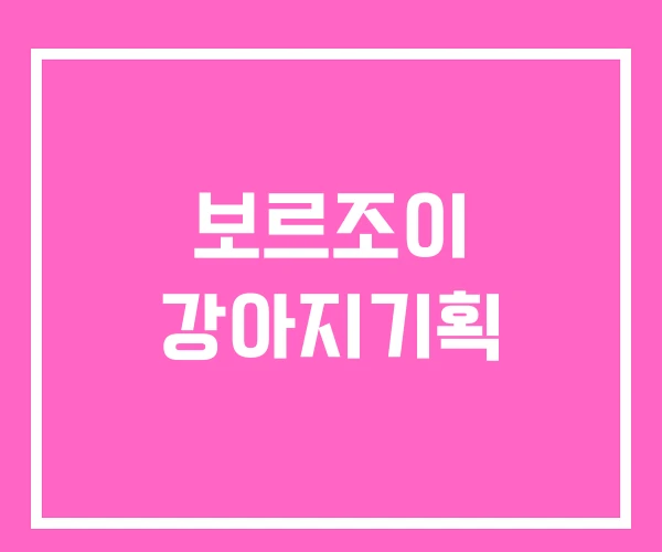 보르조이 강아지기획