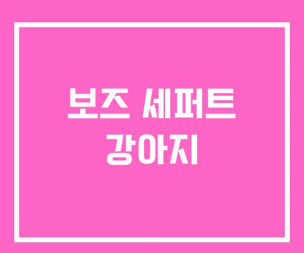 보즈 세퍼트 강아지