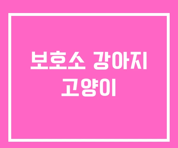 보호소 강아지 고양이 보호소 강아지 고양이