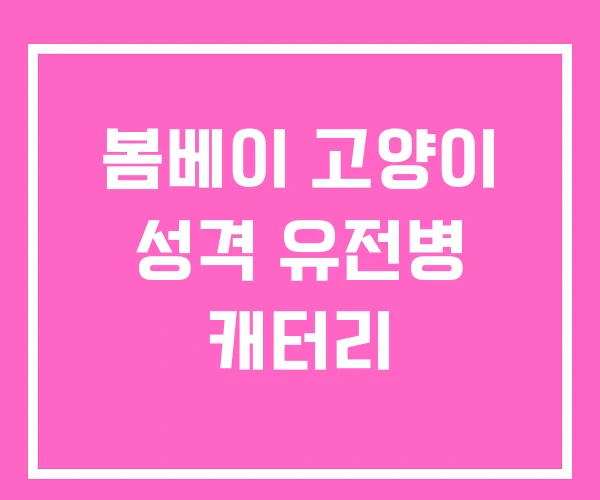 봄베이 고양이 성격 유전병 캐터리 봄베이 고양이 성격 유전병 캐터리