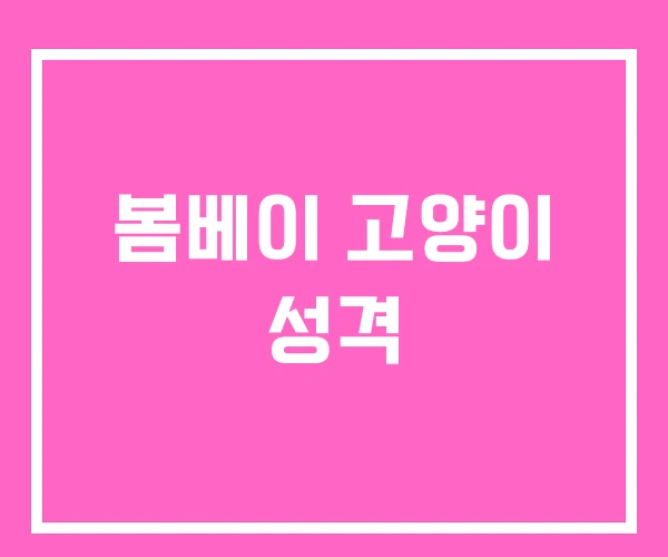 봄베이 고양이 성격 봄베이 고양이 성격