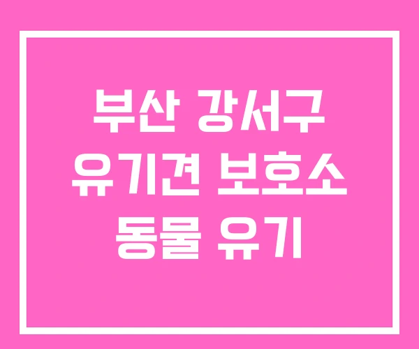부산 강서구 유기견 보호소 동물 유기