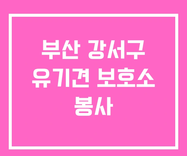 부산 강서구 유기견 보호소 봉사 부산 강서구 유기견 보호소 봉사