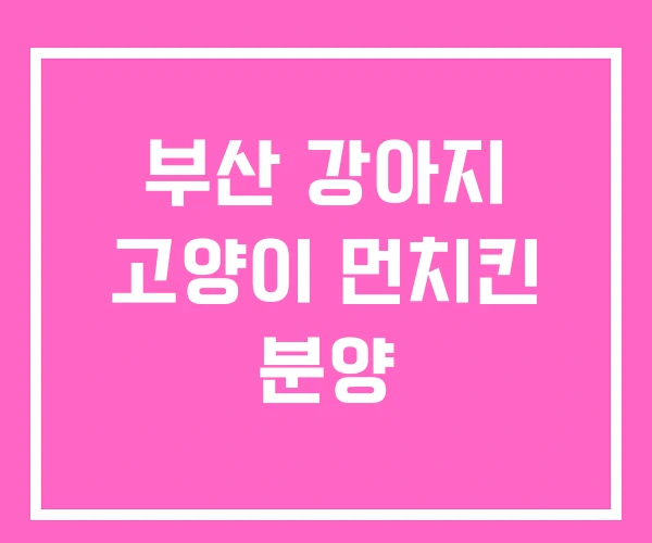 부산 강아지 고양이 먼치킨 분양 부산 강아지 고양이 먼치킨 분양
