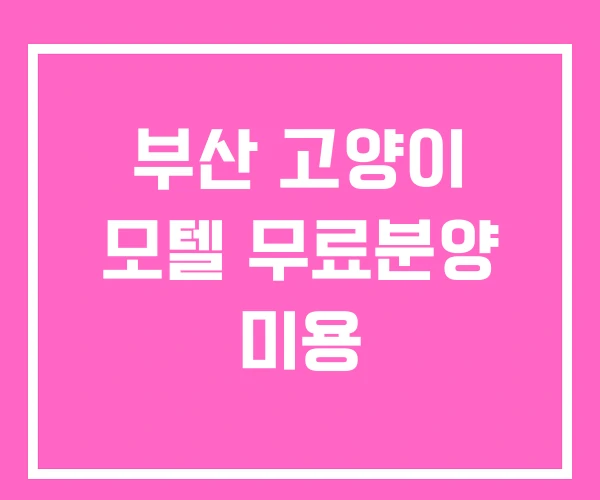 부산 고양이 모텔 무료분양 미용