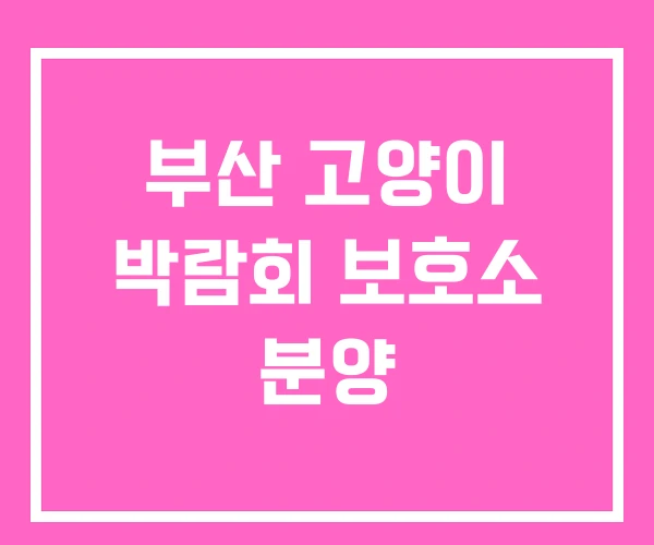 부산 고양이 박람회 보호소 분양