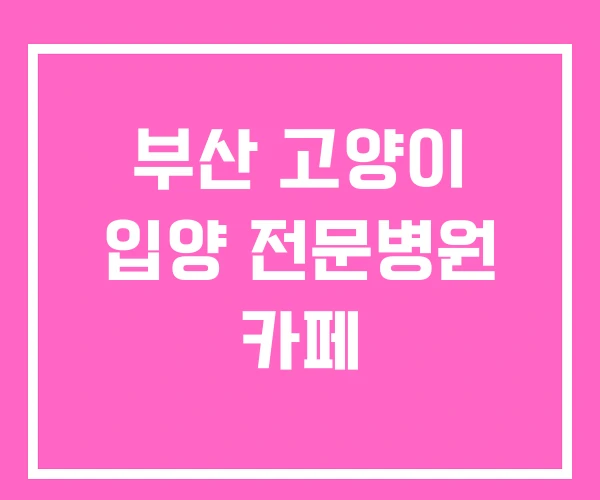 부산 고양이 입양 전문병원 카페 부산 고양이 입양 전문병원 카페