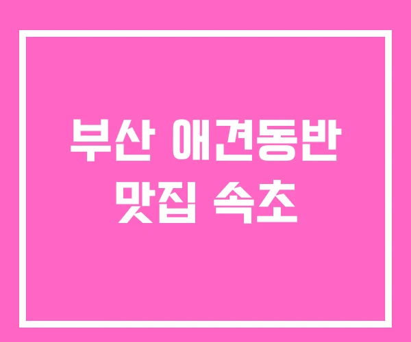 부산 애견동반 맛집 속초