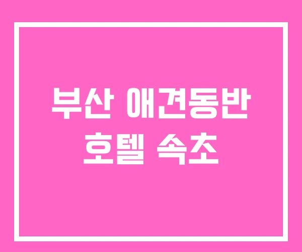 부산 애견동반 호텔 속초