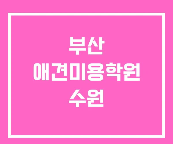 부산 애견미용학원 수원