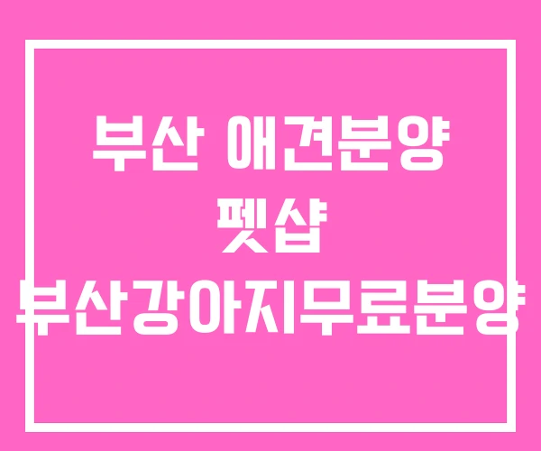 부산 애견분양 펫샵 부산강아지무료분양