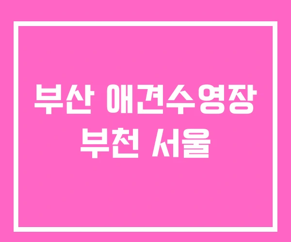 부산 애견수영장 부천 서울 부산 애견수영장 부천 서울