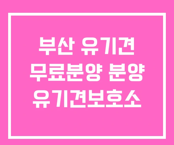 부산 유기견 무료분양 분양 유기견보호소 부산 유기견 무료분양 분양 유기견보호소