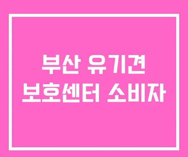 부산 유기견 보호센터 소비자 부산 유기견 보호센터 소비자