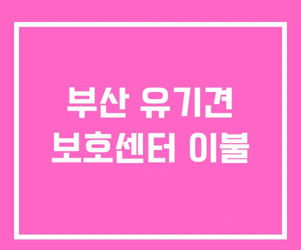 부산 유기견 보호센터 이불