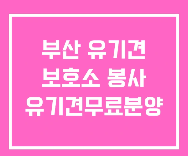 부산 유기견 보호소 봉사 유기견무료분양 부산 유기견 보호소 봉사 유기견무료분양