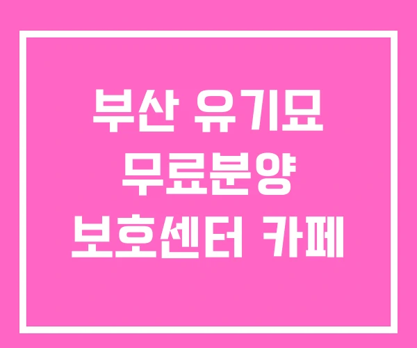 부산 유기묘 무료분양 보호센터 카페