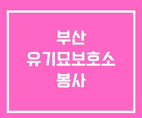 부산 유기묘보호소 봉사 부산 유기묘보호소 봉사