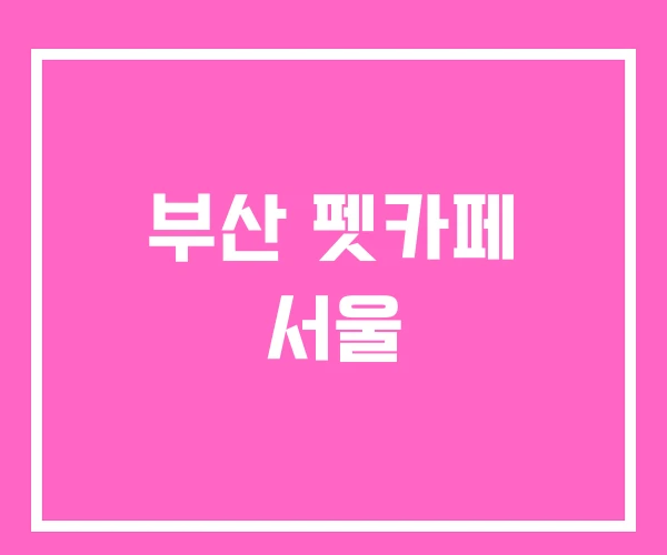 부산 펫카페 서울 부산 펫카페 서울