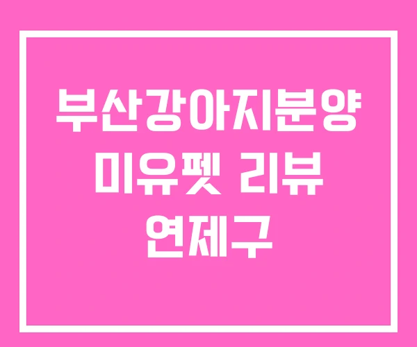부산강아지분양 미유펫 리뷰 연제구 부산강아지분양 미유펫 리뷰 연제구