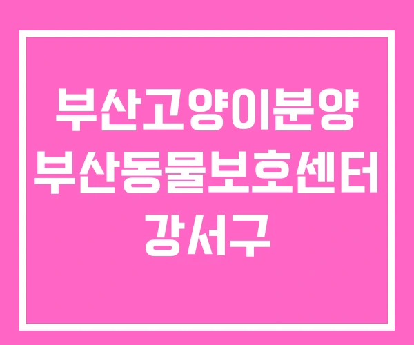 부산고양이분양 부산동물보호센터 강서구 부산고양이분양 부산동물보호센터 강서구