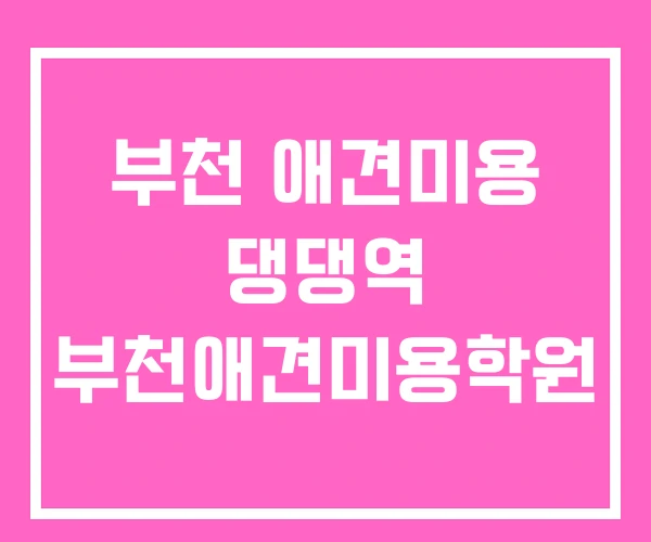 부천 애견미용 댕댕역 부천애견미용학원 부천 애견미용 댕댕역 부천애견미용학원