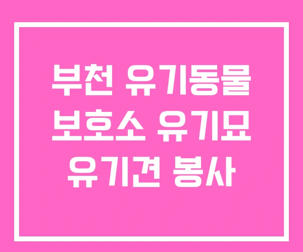 부천 유기동물 보호소 유기묘 유기견 봉사