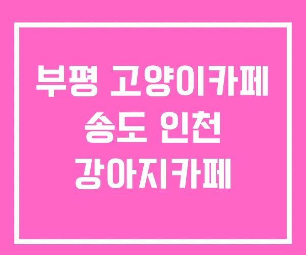 부평 고양이카페 송도 인천 강아지카페 부평 고양이카페 송도 인천 강아지카페