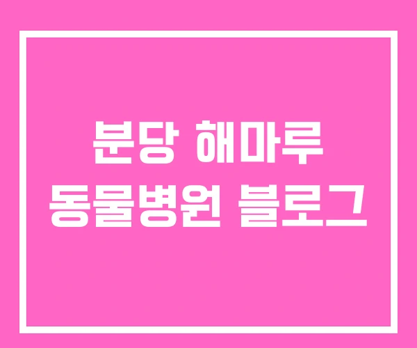 분당 해마루 동물병원 블로그 분당 해마루 동물병원 블로그