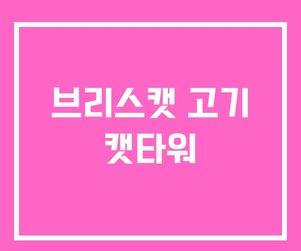 브리스캣 고기 캣타워
