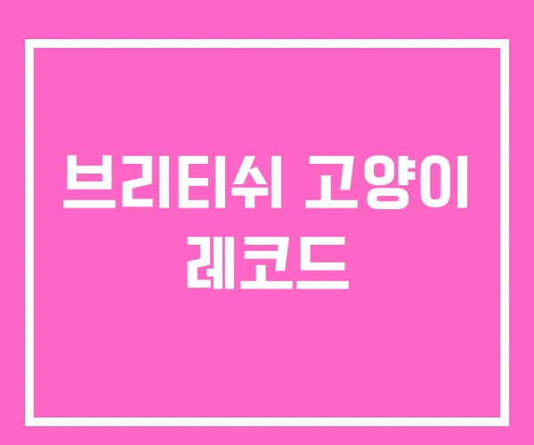 브리티쉬 고양이 레코드
